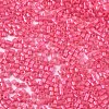 FGB 11/0 Grade A Glass Seed Beads SEED-S030-1144-2