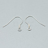 925 Sterling Silver Earring Hooks STER-T002-170S-2