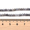 Natural Tanzanite Beads Strands G-S387-A01-3mm-5