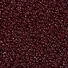 MIYUKI Round Rocailles Beads SEED-JP0008-RR2410-3