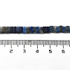 Natural Lapis Lazuli Beads Strands G-Z045-A11-01-5