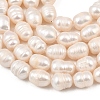 Natural Cultured Freshwater Pearl Beads Strands PEAR-F020-24A-4