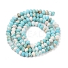 Natural Howlite Beads Strands G-H025-03D-09-3