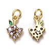 Brass Micro Pave Cubic Zirconia Charms ZIRC-H119-05G-2