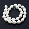 Electroplate Shell Pearl Beads Strands BSHE-G006-07D-2