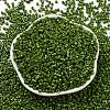 Baking Paint Glass Seed Beads SEED-S042-05A-21-2