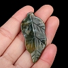 Natural Indian Agate Carved Healing Leaf Stone PW-WG31545-06-1
