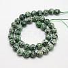 Natural Green Spot Jasper Beads Strands X-G-L148-14mm-01-2