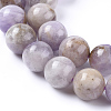 Natural Amethyst Beads Strands G-L555-01-10mm-2
