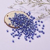 6/0 Glass Seed Beads SEED-YW0001-25E-6