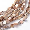 Erose Natural Shell Beads Strands X-PBB071Y-1