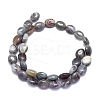 Natural Botswana Agate Beads Strands G-K310-E01-2