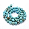 Natural Howlite Beads Strands X-G-D0012-01C-2