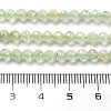 Natural Prehnite Beads Strands LS-G-G161-A13-03-5