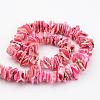 Natural Shell Bead Strands BSHE-P010-10-2