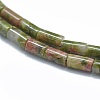 Natural Unakite Beads Strands G-F631-B01-3