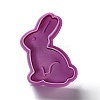 Easter Themed PET Plastic Cookie Cutters X-DIY-K056-09-2