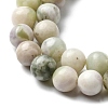 Natural Peace Jade Beads Strands G-E598-04C-3