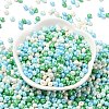 6/0 Glass Seed Beads X1-SEED-L011-08A-02-2