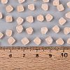 FGB Frosted Transparent Glass Seed Beads SEED-N013-03A-03-4
