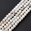 Natural White African Opal Beads Strands G-G905-10A-3