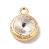 Glass Pendants PALLOY-O106-21G-01-1