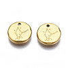 316 Surgical Stainless Steel Charms STAS-S116-418D-G-2
