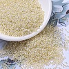 MIYUKI Round Rocailles Beads SEED-G007-RR0577-1
