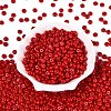 Opaque Colours Glass Seed Beads SEED-Q042-01A-D05-2