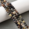 Natural Sodalite Beads Strands G-F591-13A-8