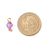 Transparent Acrylic Pendants PALLOY-JF01834-04-3
