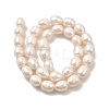 Natural Cultured Freshwater Pearl Beads Strands PEAR-I007-01E-02A-3