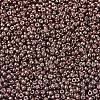 MIYUKI Round Rocailles Beads SEED-X0054-RR1085-3