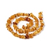Natural Amber Chip Beads Strands G-E271-81-3