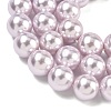 Electroplated Shell Pearl Beads Strands BSHE-G041-14mm-06-3