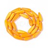 Natural Freshwater Shell Beads Strands SHEL-A004-03D-2