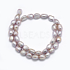 Natural Cultured Freshwater Pearl Beads Strands PEAR-K003-19B-2