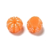 Opaque Resin Imitation Food Decoden Cabochons RESI-B015-06-1