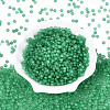 FGB Frosted Transparent Glass Seed Beads SEED-N013-02A-09-2