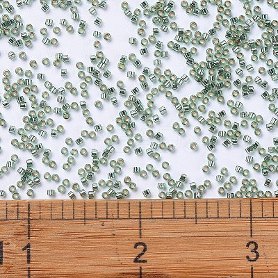 MIYUKI Delica Beads SEED-MY11-DB2165-1