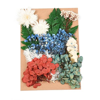 Dried Flower DIY-B018-11-1
