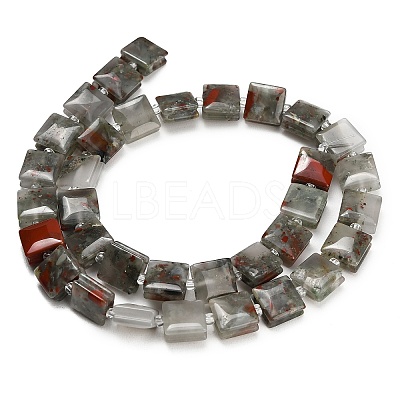 Natural African Bloodstone Beads Strands GG-F802-B17-01-1