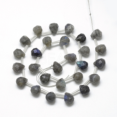 Natural Labradorite Beads Strands G-R435-15G-1