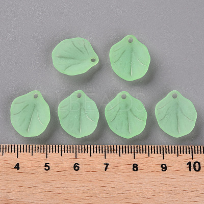 Transparent Frosted Acrylic Pendants MACR-S371-02A-733-1
