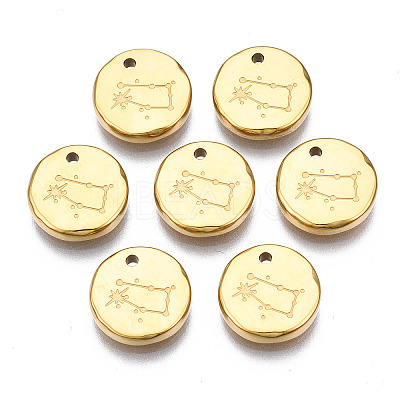 316 Surgical Stainless Steel Charms STAS-S116-418E-G-1
