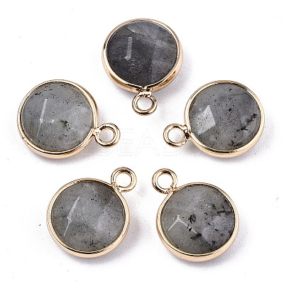 Natural Labradorite Pendants X-G-T131-101A-1