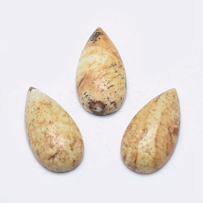 Natural Picture Jasper Cabochons G-P384-M04-1