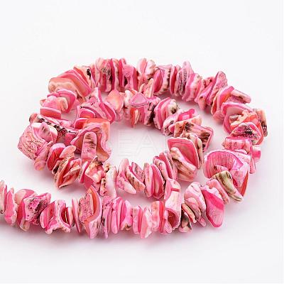 Natural Shell Bead Strands BSHE-P010-10-1