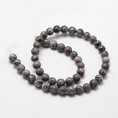 Natural Map Stone/Picasso Stone/Picasso Jasper Beads Strands G-G735-27-10mm-1