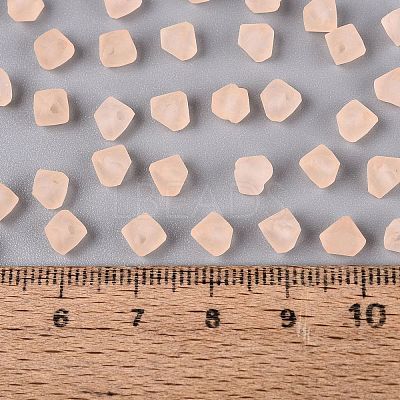 FGB Frosted Transparent Glass Seed Beads SEED-N013-03A-03-1